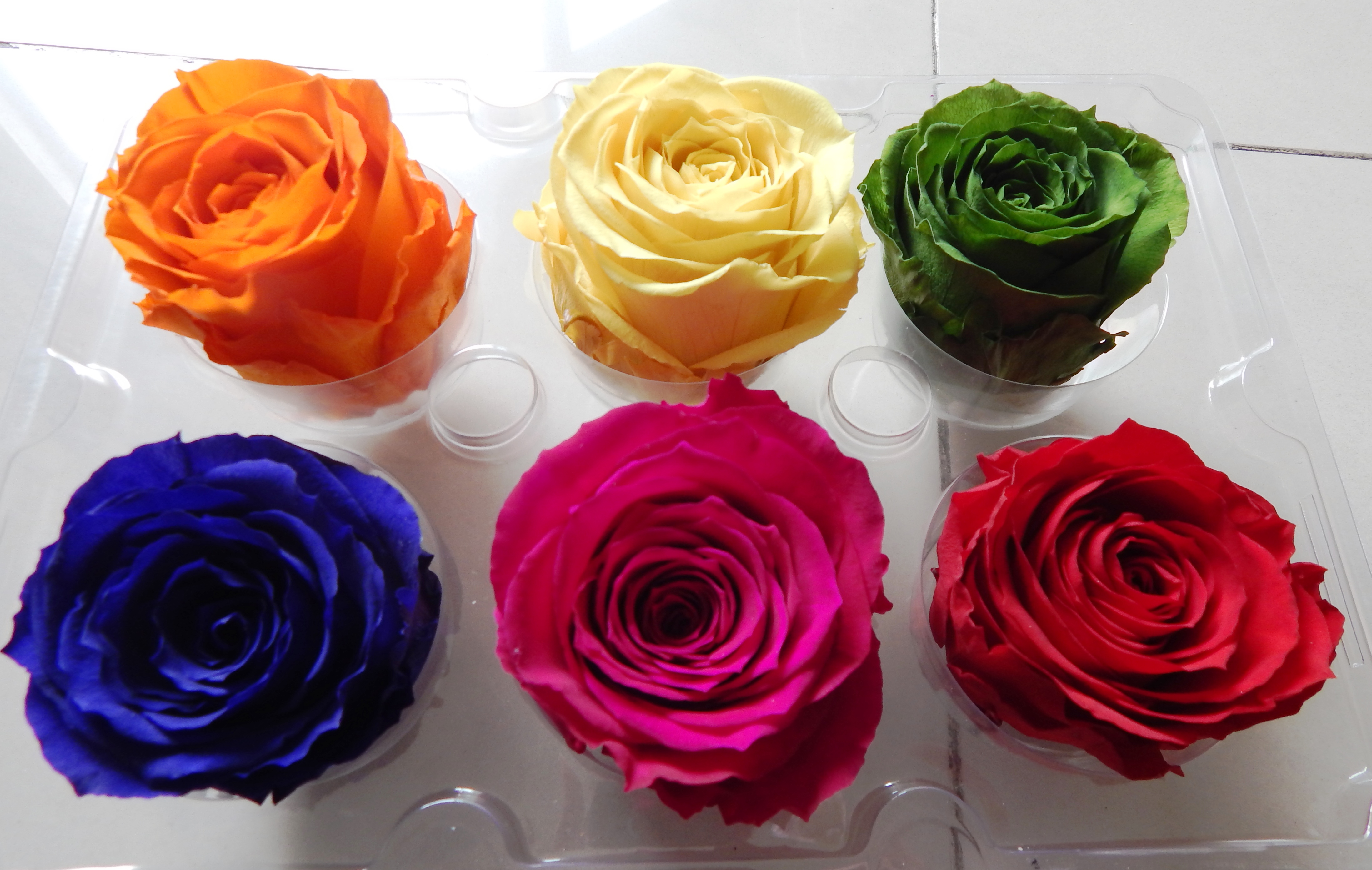 Preserved Roses Tones